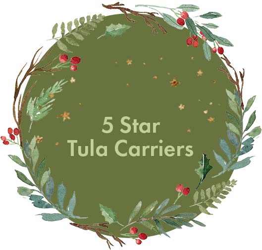 Top Rated Tula Carriers