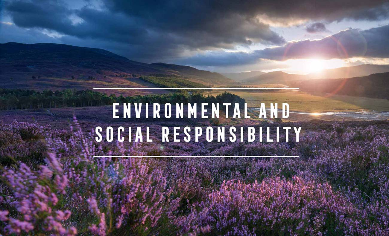 Social & Environmental Responsibility